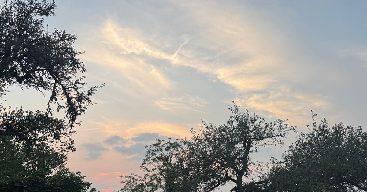 Live oaks against an evening sky in the Texas Hill Country.