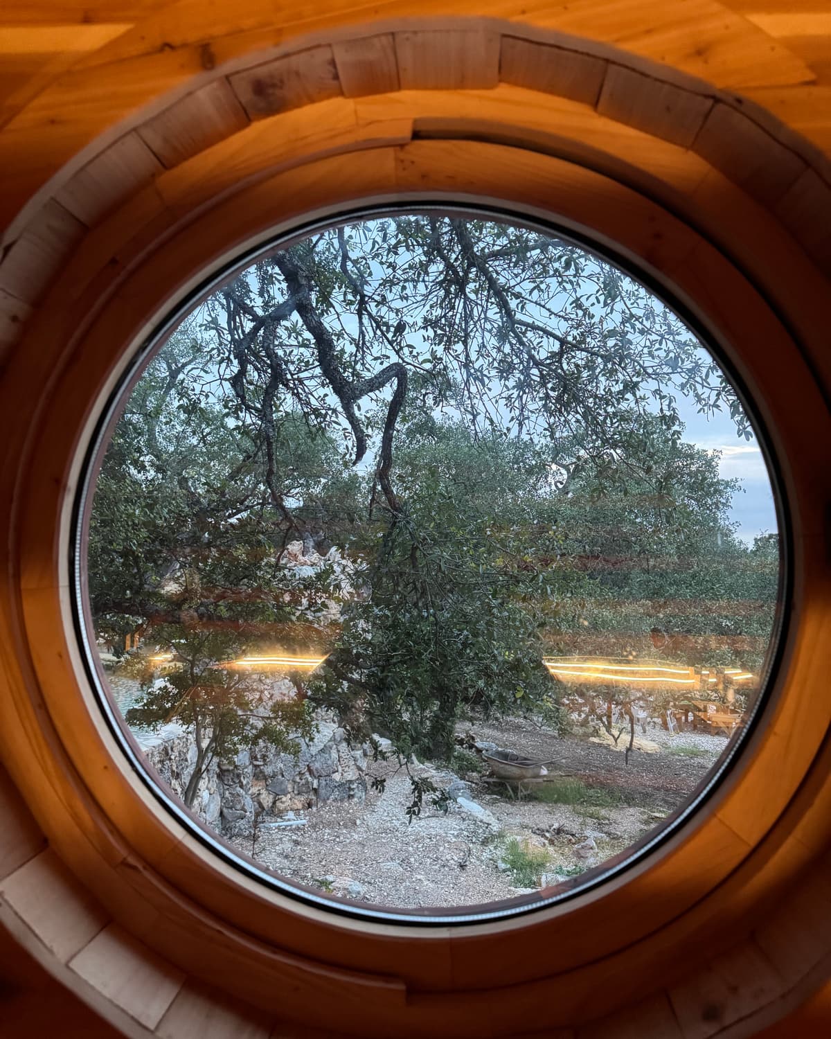 A round window in the cedar sauna looking out onto oak trees.
